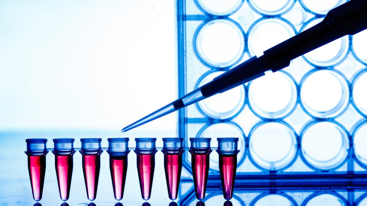 D-PCR-DY-23 Tests